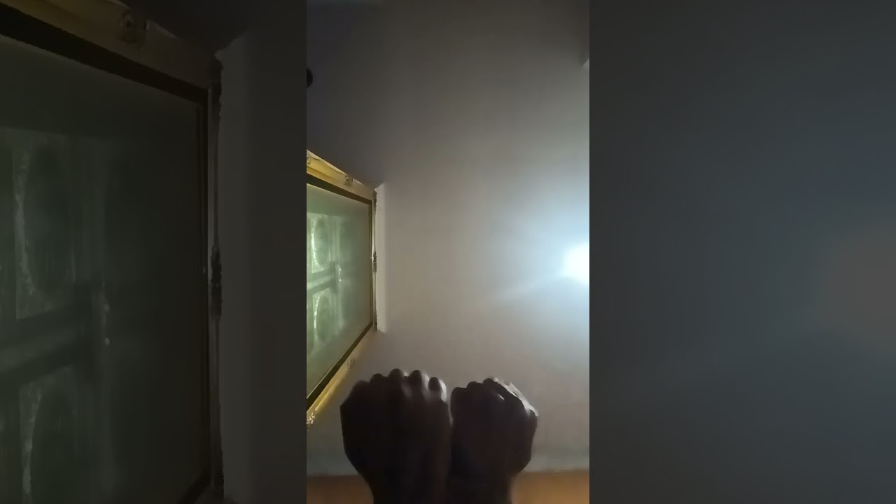 lost jersey woods club tapi velocity