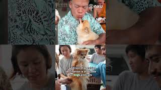 Bangkok Advances Pet Welfare