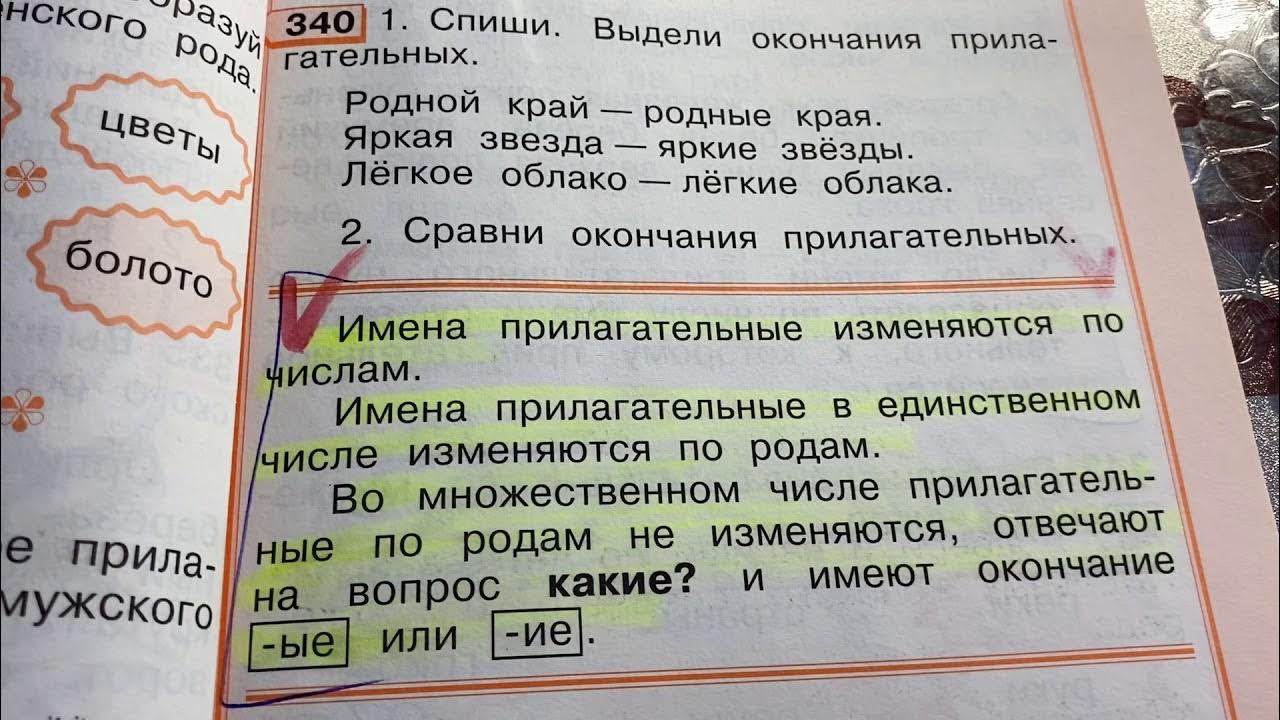 Изменение прилагательных по родам и числам. 5 класс что изменится