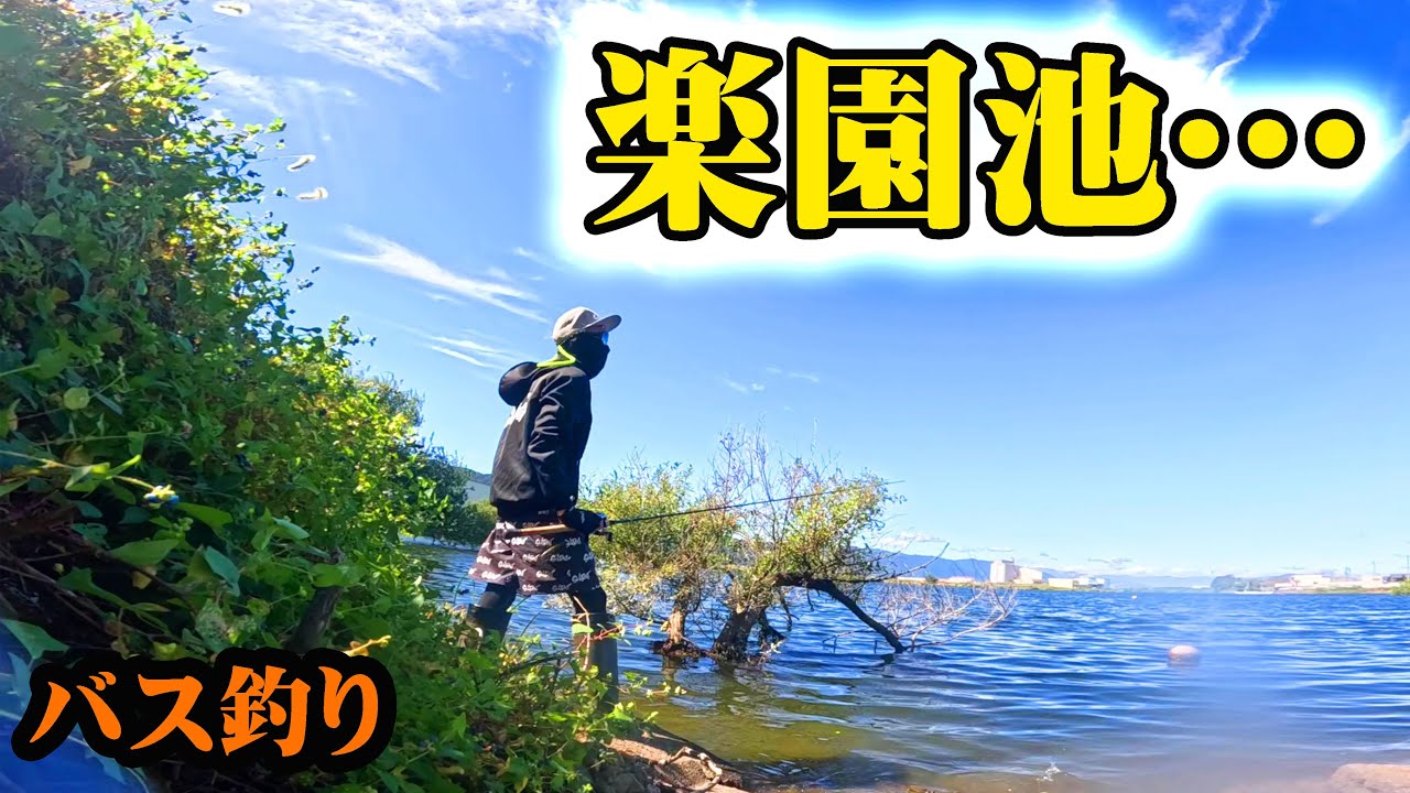 一年ぶりに来てみたらこの池はやはり楽園だった！【バス釣り】【シャーベットヘアーチャンネル】【おかっぱり】