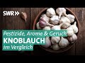 Knoblauch im Test: Wie gesund ist die Knolle wirklich?