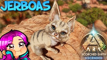 JERBOA TAMING & WEATHER SIGNS - SCORCHED EARTH - Ark Survival Ascended