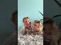 Baby Monkey Taki & Cheekie is live!