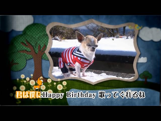 Chihiro's 9th Happy Birthday! class=