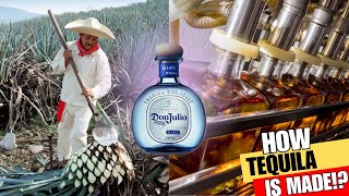 How TEQUILA is Made From Agave Plant | DON JULIO Tequila Production screenshot 5