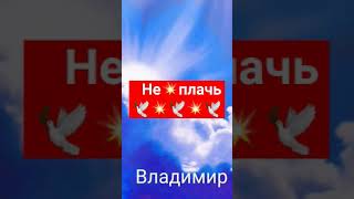 не 💥🕊️💥🕊️💥🕊️плачь