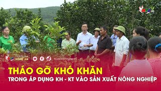 Tháo gỡ khó khăn trong áp dụng KH - KT vào sản xuất nông nghiệp
