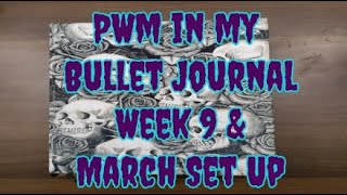 PWM in my Bullet Journal Week 9 & March Set Up