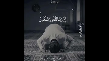 حالات وتساب اجمل تلاوة😍 محمد حسين عامر الله يرحمه