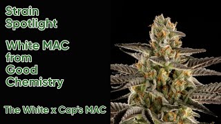 White MAC - Strain Spotlight