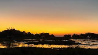 A Sky Full of Golden Hues | Beautiful Sunset