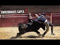 👌  Emocionante Capea en la Ganaderia de Toros Bravos Espino Rapado, Parte 2