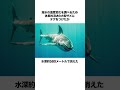 海には謎が多い