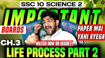 science 2 MOST important questions class 10 2026 | LIFE PROCESS PART 2 | ONE SHOT Class 10 SCI 2 IMP