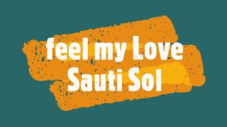 feel my love-sauti sol (Lyric Video)