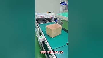 Hệ thống băng tải vận chuyển Pallet lên xuống - Băng tải chuyển Pallet hàng