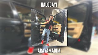 Halodayı - Arayamadım (Speed Up) Resimi