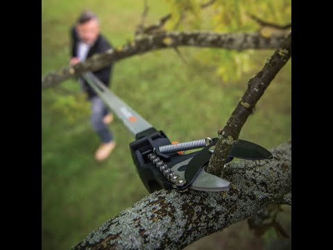 Βίντεο: Arsαλίδι κλαδέματος για ψηλά δέντρα: πώς να επιλέξετε ένα τηλεσκοπικό ψαλίδι κήπου με μακριές λαβές; Χαρακτηριστικά μεγάλων μοντέλων αέρα