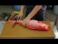 Watch Cool Fish Filleting Compilation Skills