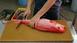 Watch Cool Fish Filleting Compilation Skills