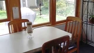 11 Edward Ave video tour