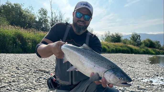 Life's a Beach and the Pinks are here! Pink Salmon Beach Fishing 