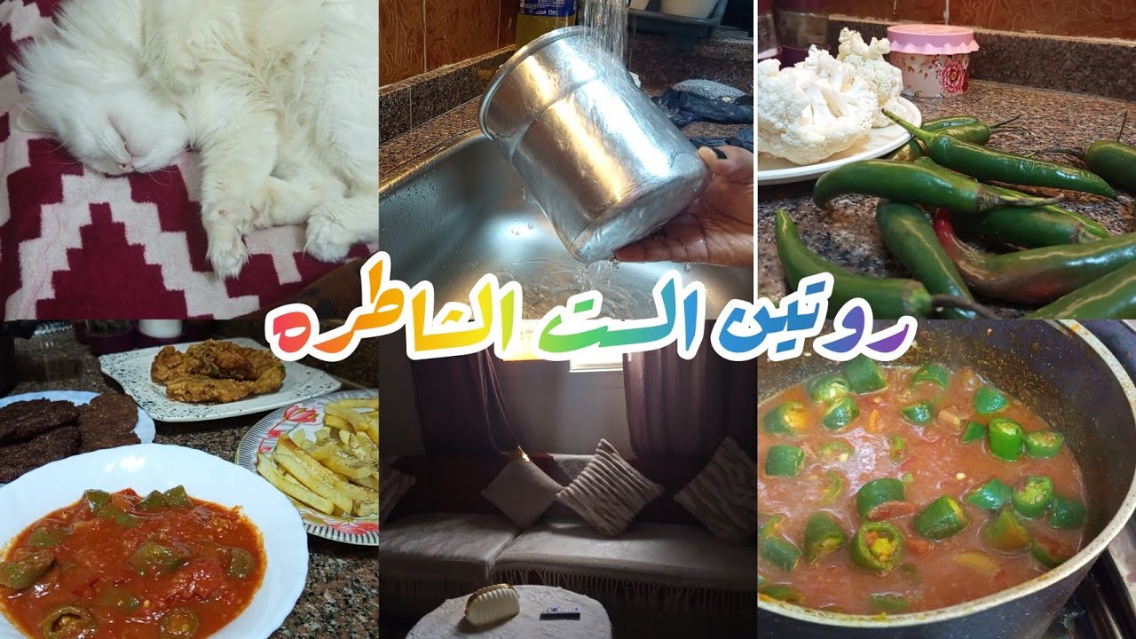 روتين كله نشاط وحيويه 👍🏻🙋🏻 روتين الست الشاطره