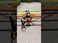 Most light aircraft pulled by walking on hands 🛩 3 by Matteo Pavone 🇮🇹