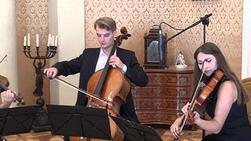 Joseph Haydn - String Quartet op.103 D-minor, No.68, II. Menuetto (Grand String Quartet)