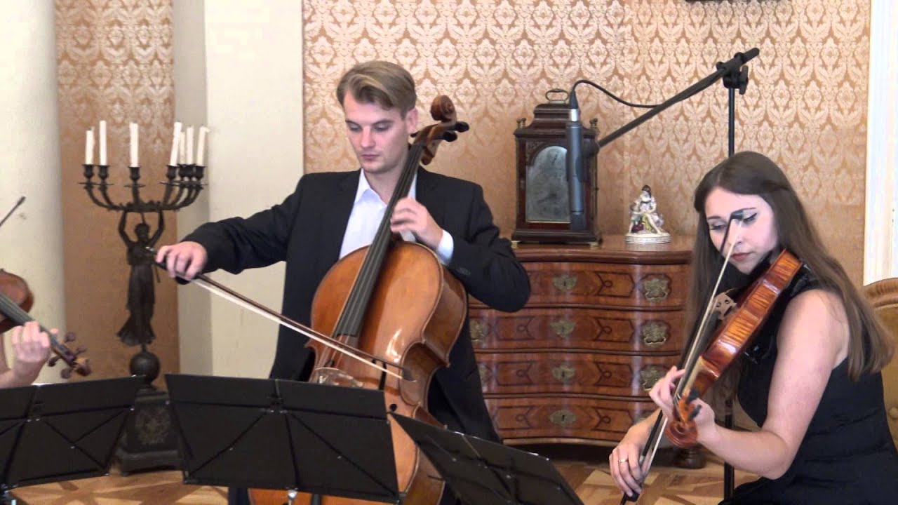 Joseph Haydn - String Quartet op.103 D-minor, No.68, II. Menuetto (Grand String Quartet)