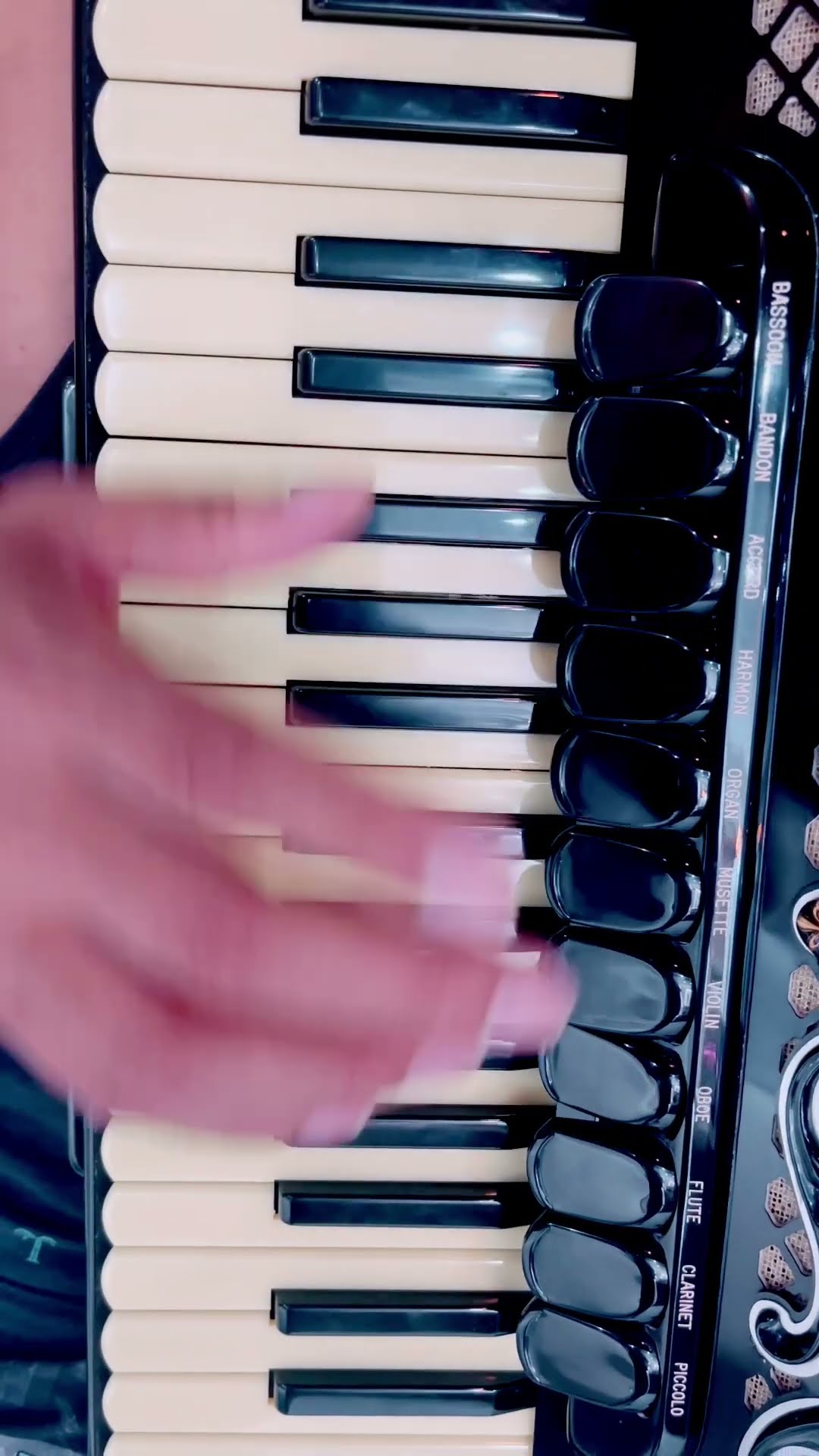 https://hotmart.com/pt-br/marketplace/produtos/acordeon-pro-com-mestre-jovenil/D85870189J?pp=1