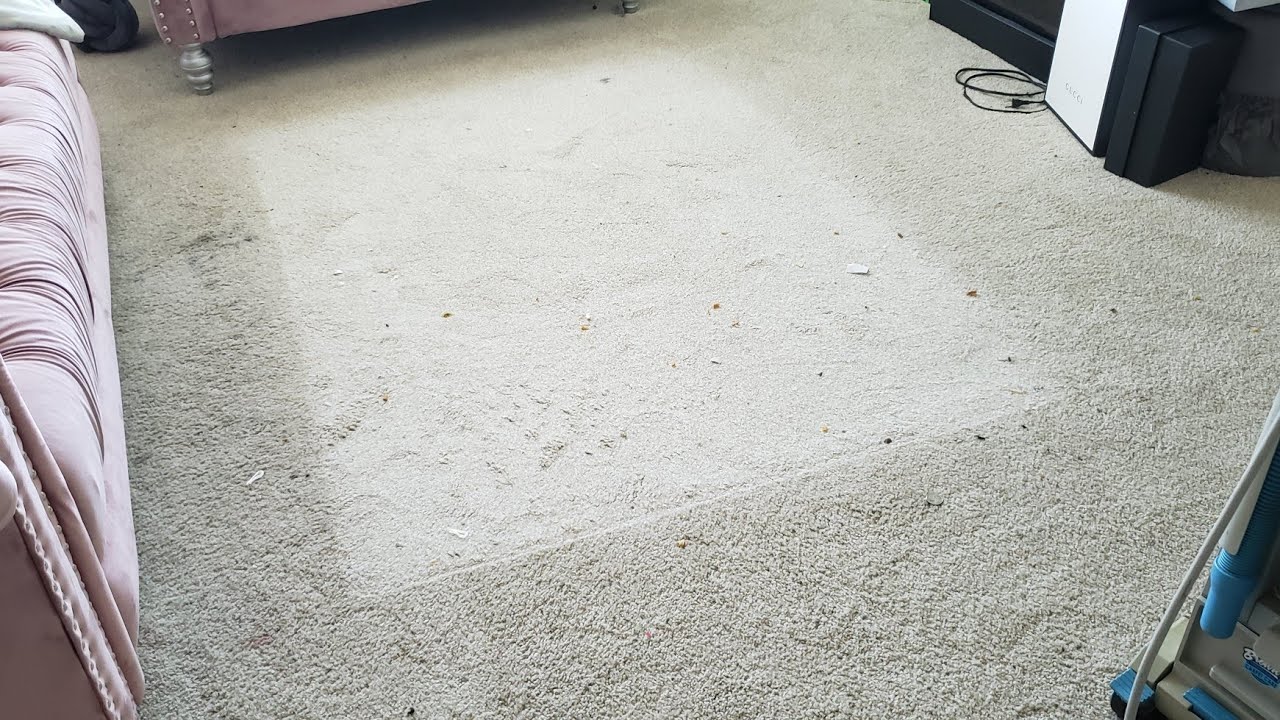 So crunchy, So Dirty Extreme clean Extremely Dirty Carpet cleaning