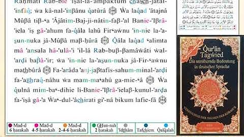 ختمة من مصحف التجويد باللغة الألمانية الصفحة رقم 292