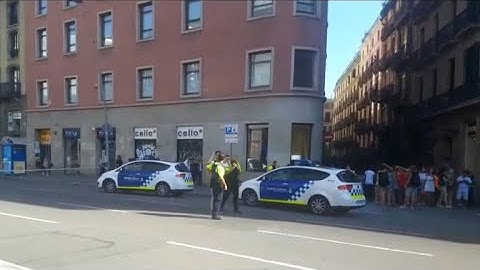 How does the world protect itself from terrorism?