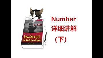 【啃前端】JavaScript红宝书读书总结 3.4.5 Number（下）
