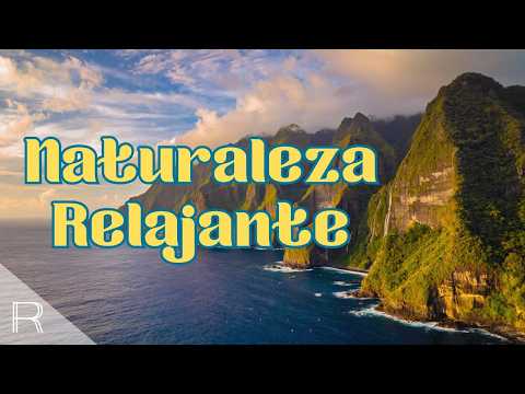 Whispers of the Forest and the Sea 🌧️ Natural Melodies for Dreaming as a Couple