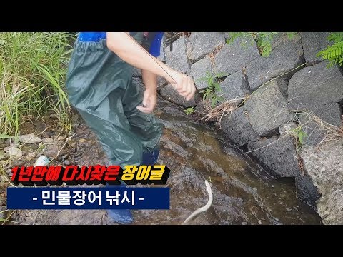 <strong>민물장어낚시</strong>