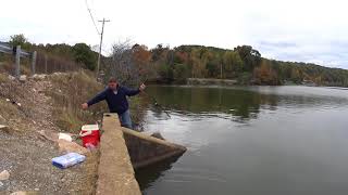 How To Catch A Skipjack In 4 Seconds