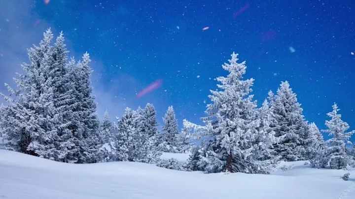 Beautiful Relaxing Music, Peaceful Soothing Instrumental Music, in 4k "Winter Wildlife" by Tim Janis