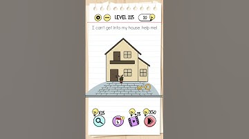 brain test level 225