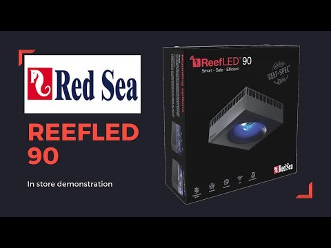 RedSea LED 90 - SNEAK PEEK! - YouTube