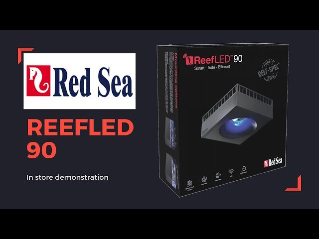 sddefault.jpg