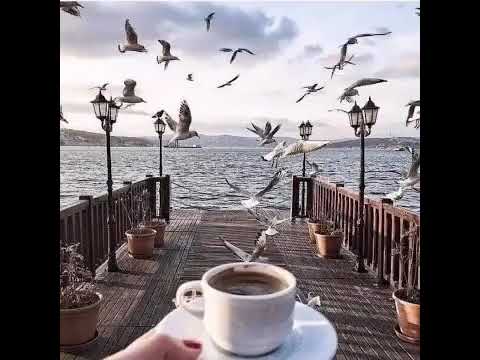 تشكيل اغاني فيروز 