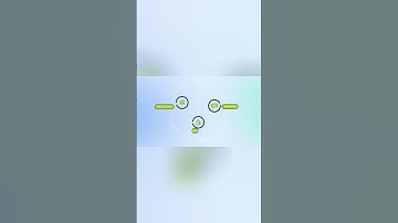 Wellness Growth CRM | GoHighLevel White-Label Shorts Video for GHL SaaS Agencies