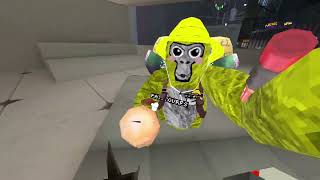 Gorilla tag (Creator fest update)