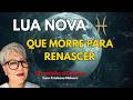 A LUA Nova em Peixes. O Portal Secreto antes do ANO NOVO ASTROLÓGICO