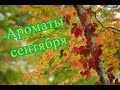 Ароматы сентября.