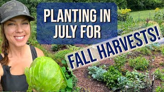 Seeds to Plant in July for a Fall Harvest (Zone 6)