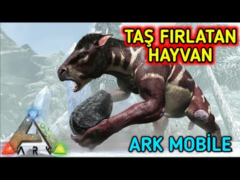 CHALİCOTHERİUM EVCİLLEŞTİRME - BİRA YAPIMI - CHALİCOTHERİUM TAME - HOW TO MAKE BEER - Ark Mobile