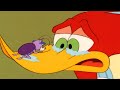 Woody Woodpecker Show | Brother Cockroach | Full Episode | Videos For Kids